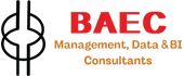 logo bae consulting